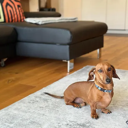 Im Glockenziel Engen