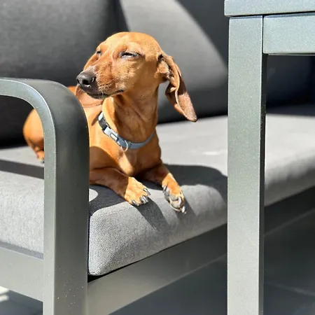 Apartment Im Glockenziel Engen