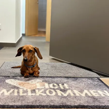 Im Glockenziel * Engen